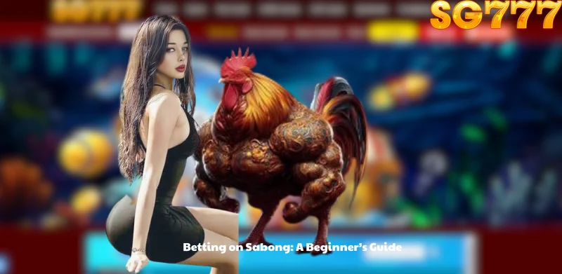 Betting on Sabong: A Beginner's Guide