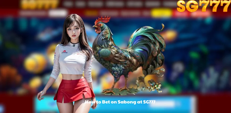 How to Bet on Sabong at SG777